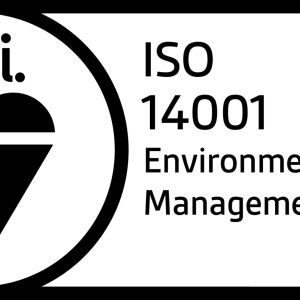 bsi environmental management